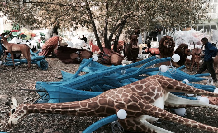 espèces d&rsquo;espèces