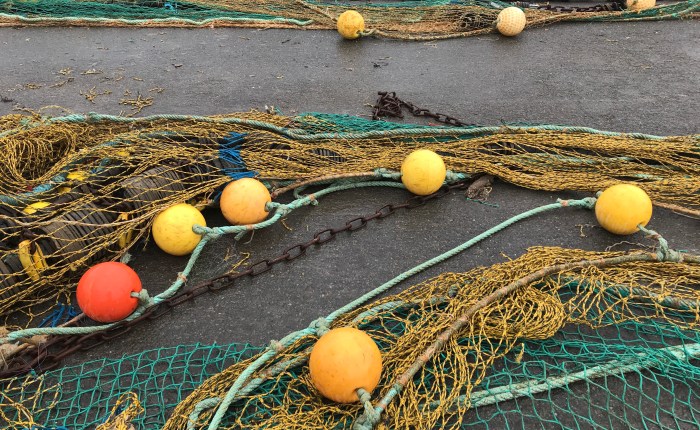 dis, nouvelle année scolaire, c&rsquo;est quoi que tu vas ramener dans mes petits filets&nbsp;?