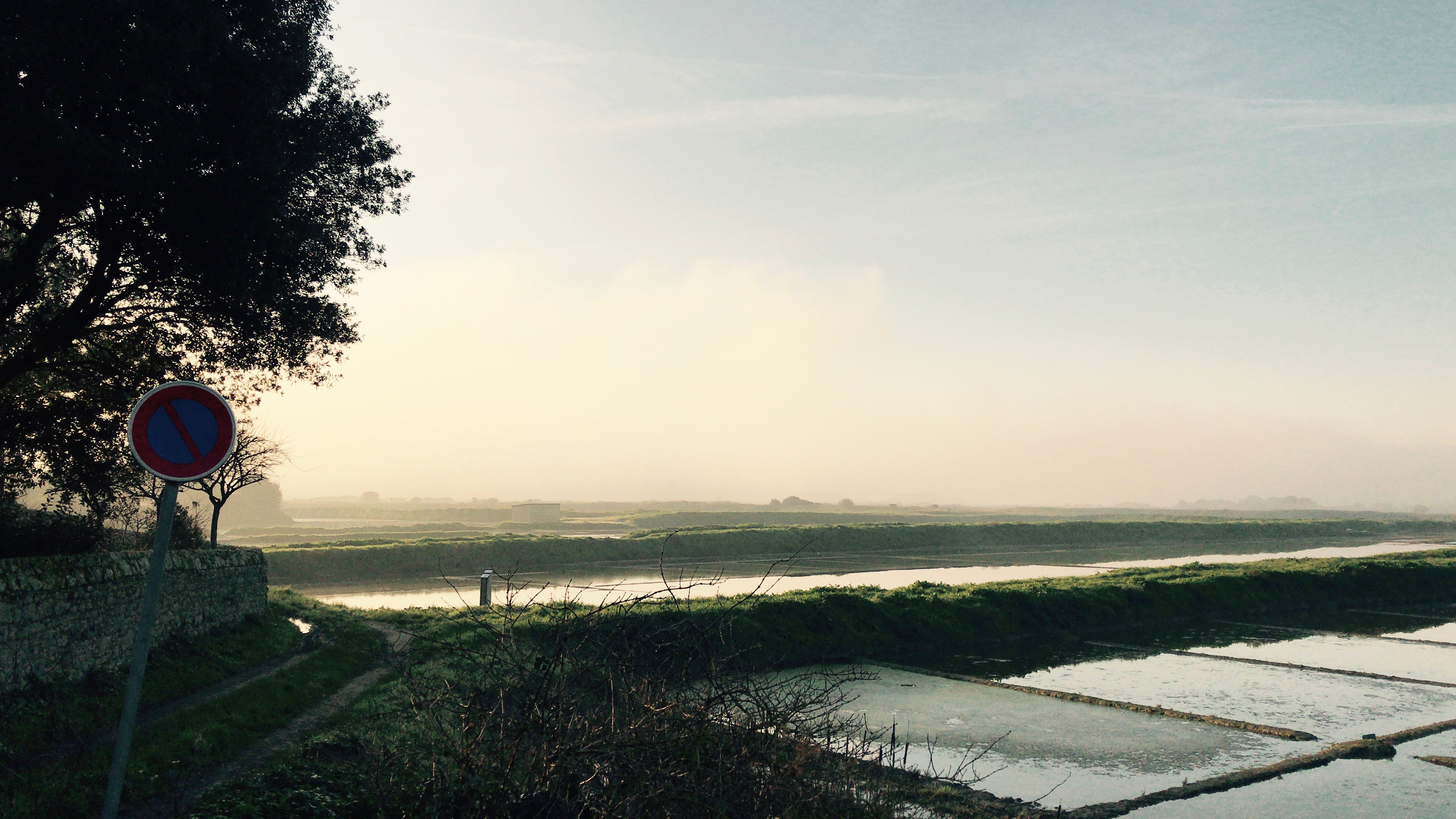 E78F950E-C368-41DF-83B0-74579657636F