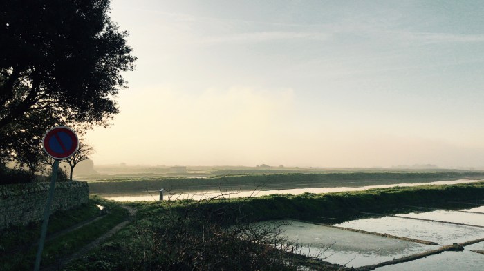 E78F950E-C368-41DF-83B0-74579657636F